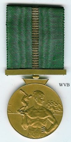 Physical Education & Sports Medal, obverse