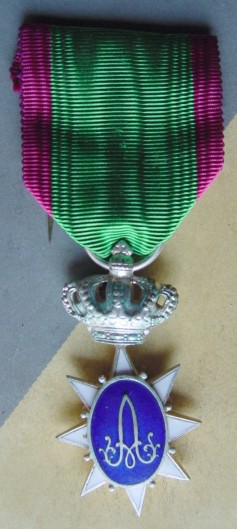 Special Household Medal, Albert I type