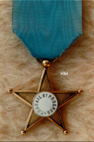 The Gold Service Star, reverse