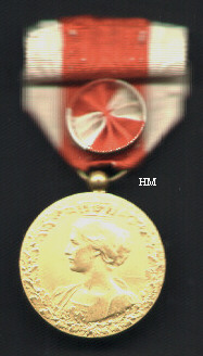 Gilt Nat. Committee Medal with rosette