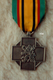 The Military Fighter Medal reverse