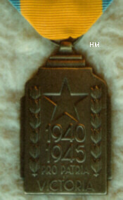 The Colonial War Effort Medal